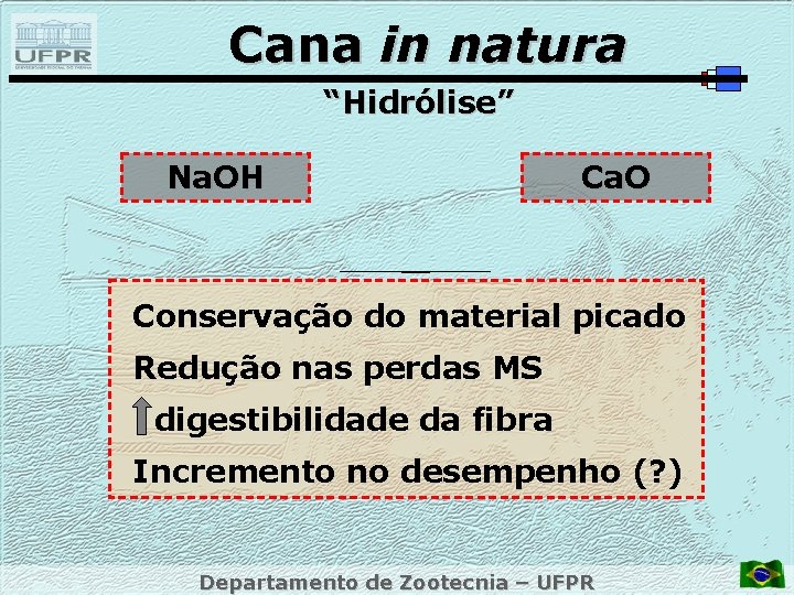 Cana in natura “Hidrólise” Na. OH Ca. O Conservação do material picado Redução nas