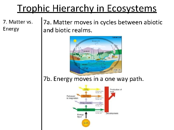 Trophic Hierarchy in Ecosystems 7. Matter vs. Energy 7 a. Matter moves in cycles Trophic Hierarchy in Ecosystems 7. Matter vs. Energy 7 a. Matter moves in cycles