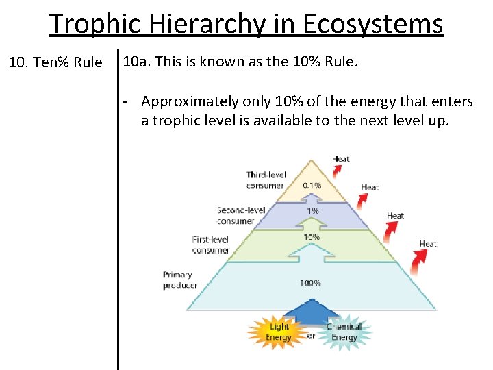 Trophic Hierarchy in Ecosystems 10. Ten% Rule 10 a. This is known as the Trophic Hierarchy in Ecosystems 10. Ten% Rule 10 a. This is known as the