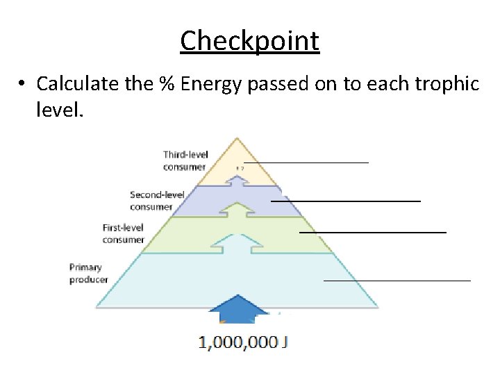 Checkpoint • Calculate the % Energy passed on to each trophic level. Checkpoint • Calculate the % Energy passed on to each trophic level.