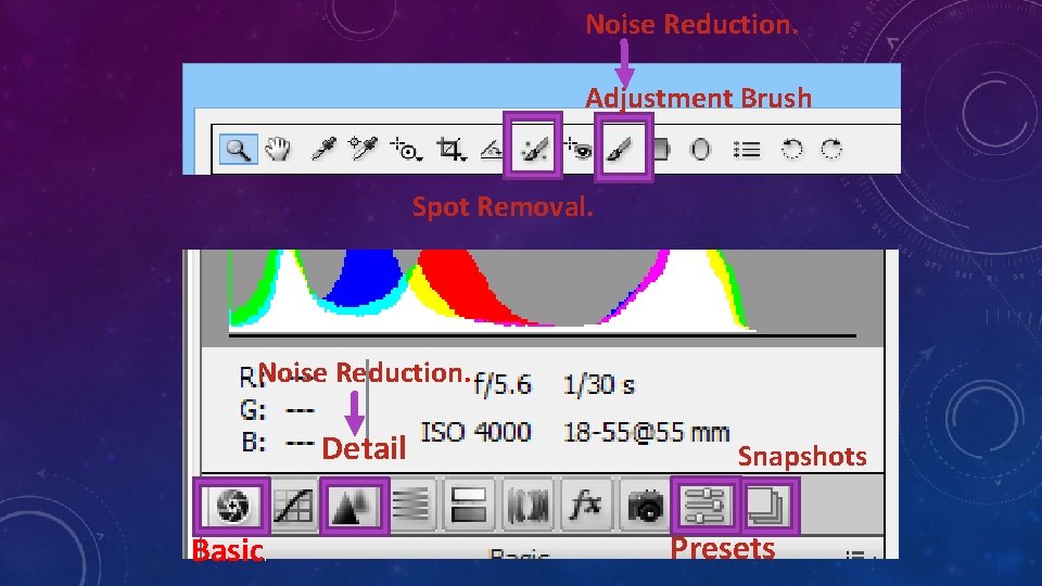 Noise Reduction. Adjustment Brush Spot Removal. Noise Reduction. Detail Basic. Snapshots Presets 