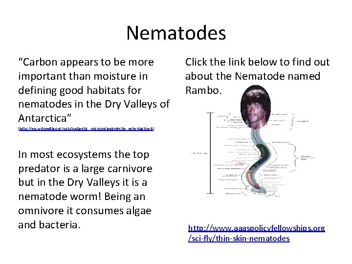 Nematodes “Carbon appears to be more important than moisture in defining good habitats for