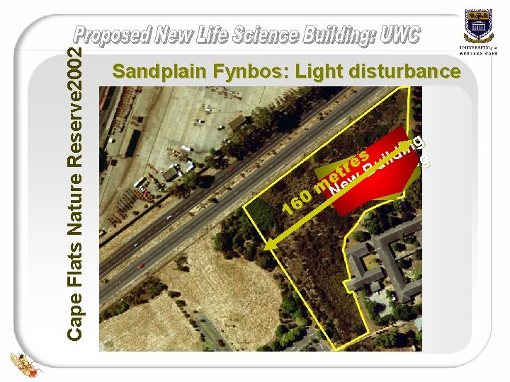 Cape Flats Nature Reserve 2002 Sandplain Fynbos: Light disturbance g n i s ild Cape Flats Nature Reserve 2002 Sandplain Fynbos: Light disturbance g n i s ild