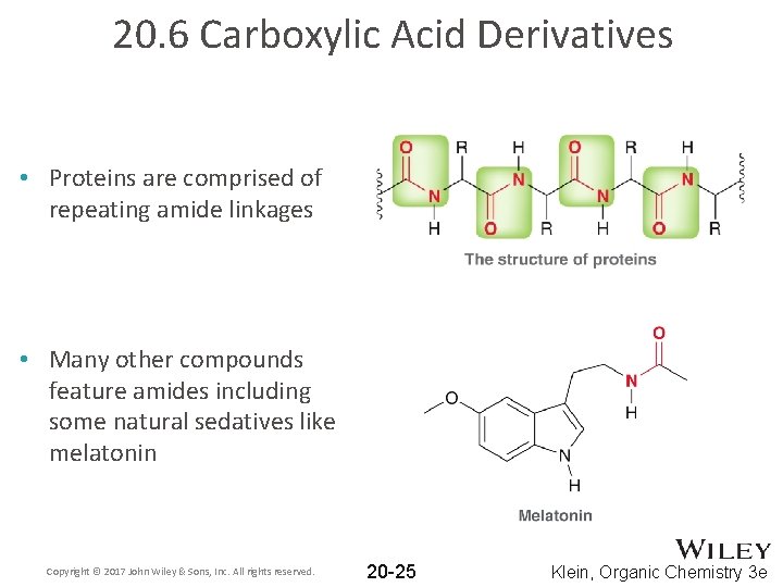 20. 6 Carboxylic Acid Derivatives • Proteins are comprised of repeating amide linkages •