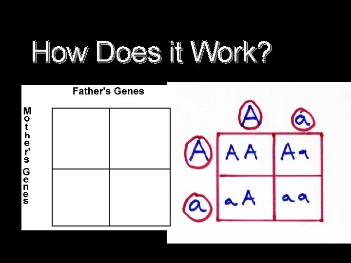 How Does it Work? 