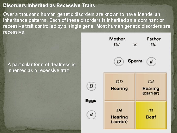 Disorders Inherited as Recessive Traits Over a thousand human genetic disorders are known to