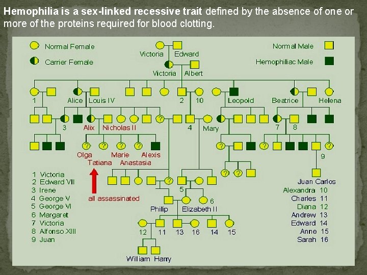 Hemophilia is a sex-linked recessive trait defined by the absence of one or more