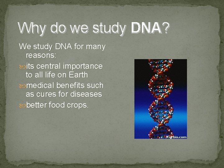 Why do we study DNA? We study DNA for many reasons: its central importance