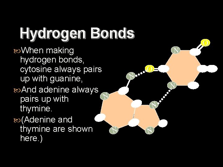 Hydrogen Bonds When making N hydrogen bonds, O C cytosine always pairs N up