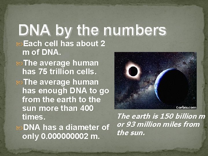 DNA by the numbers Each cell has about 2 m of DNA. The average