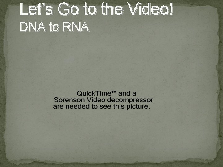 Let’s Go to the Video! DNA to RNA 