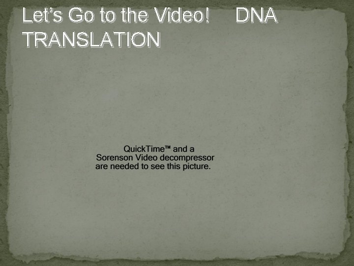 Let’s Go to the Video! TRANSLATION DNA 