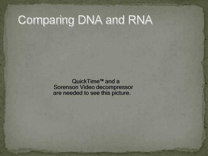 Comparing DNA and RNA 
