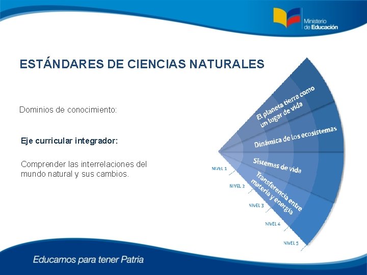 ESTÁNDARES DE CIENCIAS NATURALES Ciencias Naturales Dominios de conocimiento: Eje curricular integrador: Comprender las