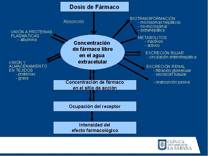 Dosis de Fármaco Absorción UNIÓN A PROTEINAS PLASMÁTICAS - albúmina UNIÓN Y ALMACENAMIENTO EN