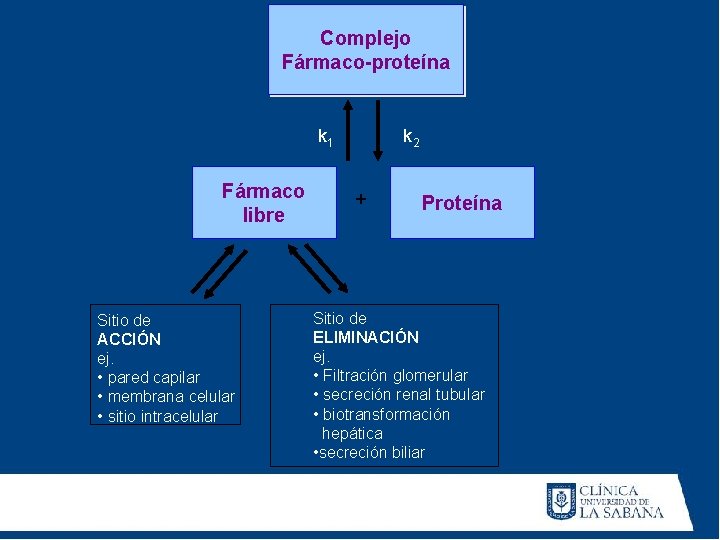 Complejo Fármaco-proteína k 1 Fármaco libre Sitio de ACCIÓN ej. • pared capilar •