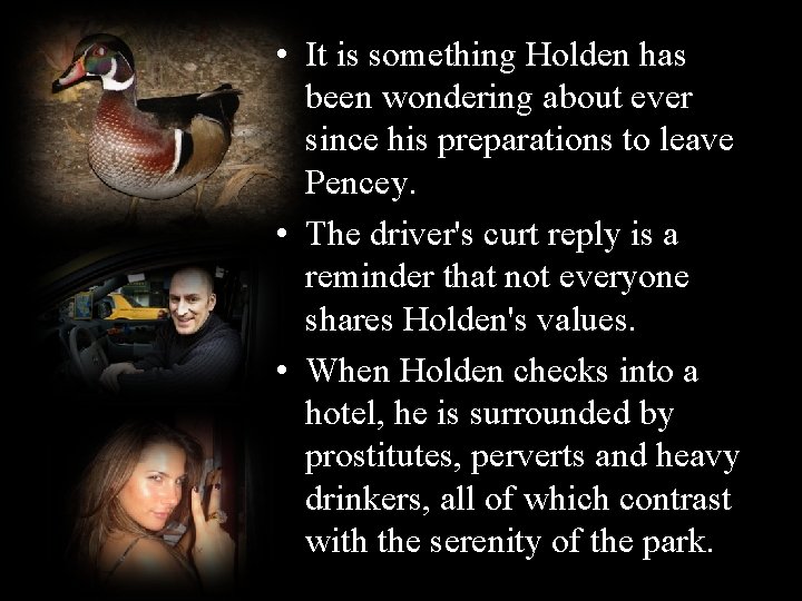  • It is something Holden has been wondering about ever since his preparations