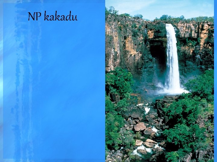 NP kakadu 