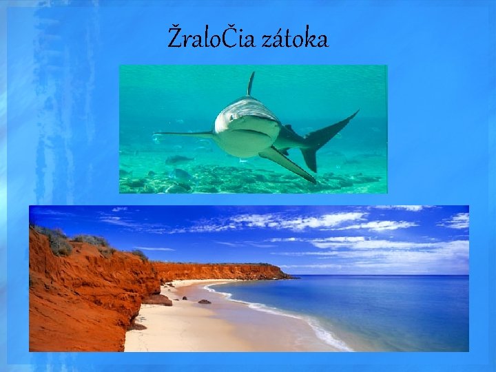 ŽraloČia zátoka 