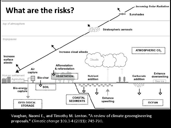 What are the risks? Vaughan, Naomi E. , and Timothy M. Lenton. "A review