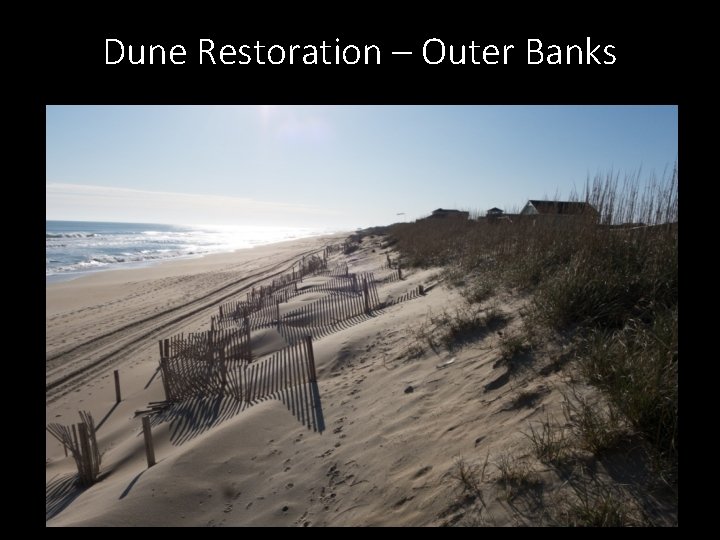 Dune Restoration – Outer Banks 