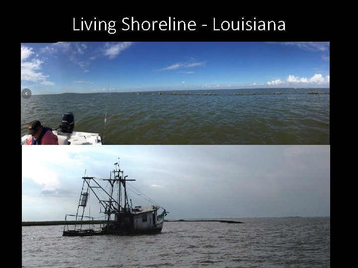 Living Shoreline - Louisiana 