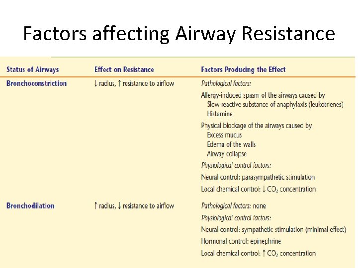 Factors affecting Airway Resistance 