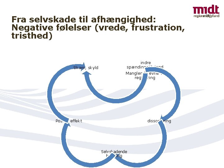 Fra selvskade til afhængighed: Negative følelser (vrede, frustration, tristhed) Skam, skyld indre spændingstilstand Manglende