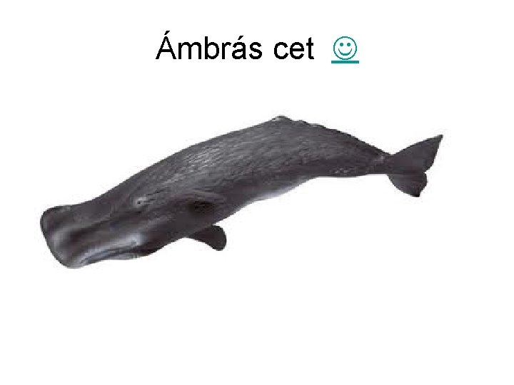 Ámbrás cet 