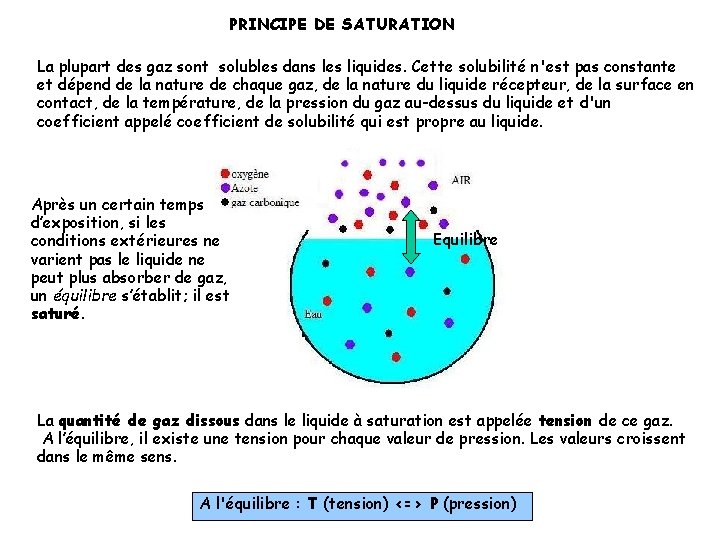 PRINCIPE DE SATURATION La plupart des gaz sont solubles dans les liquides. Cette solubilité