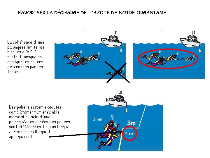 FAVORISER LA DÉCHARGE DE L ’AZOTE DE NOTRE ORGANISME. La cohérence d ’une palanquée