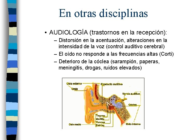 En otras disciplinas • AUDIOLOGÍA (trastornos en la recepción): – Distorsión en la acentuación,