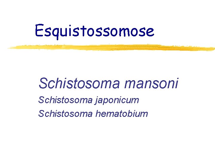 Esquistossomose Schistosoma mansoni Schistosoma japonicum Schistosoma hematobium 