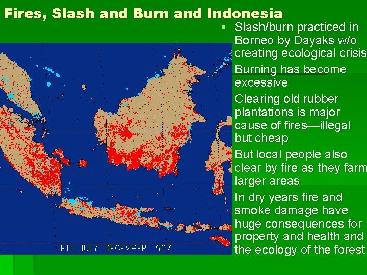 Fires, Slash and Burn and Indonesia § Slash/burn practiced in Borneo by Dayaks w/o