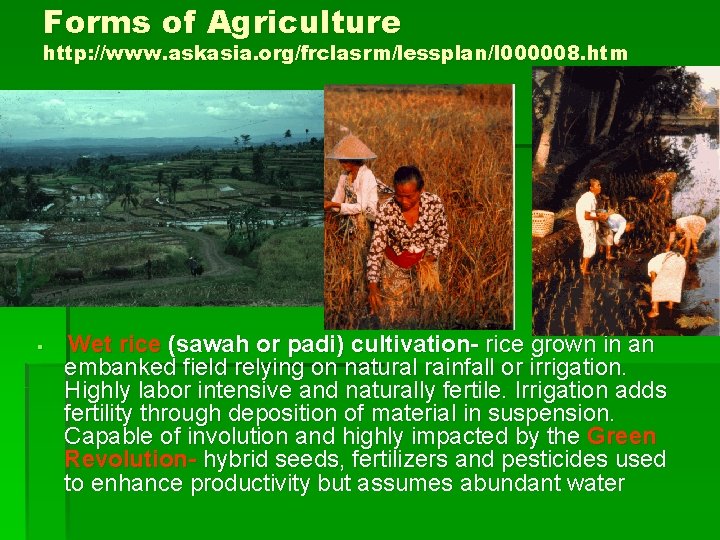 Forms of Agriculture http: //www. askasia. org/frclasrm/lessplan/l 000008. htm § Wet rice (sawah or