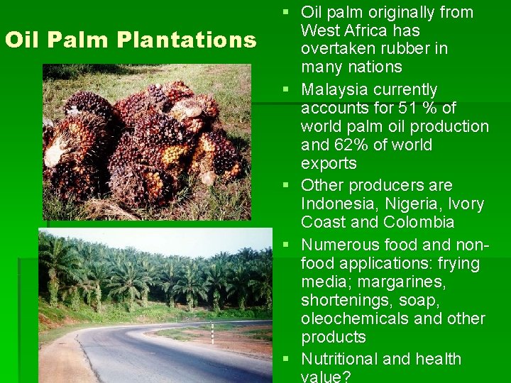 Oil Palm Plantations § Oil palm originally from West Africa has overtaken rubber in