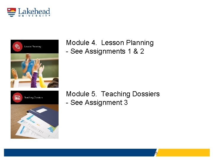 Module 4. Lesson Planning - See Assignments 1 & 2 Module 5. Teaching Dossiers