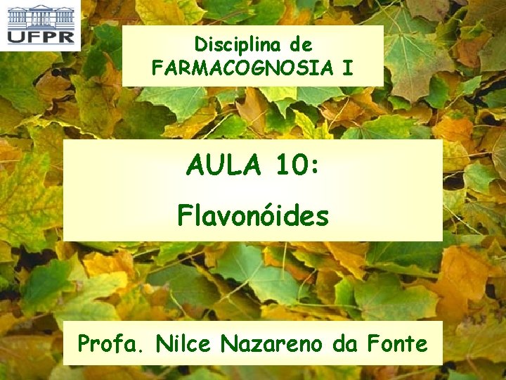 Disciplina de FARMACOGNOSIA I AULA 10: Flavonóides Profa. Nilce Nazareno da Fonte 