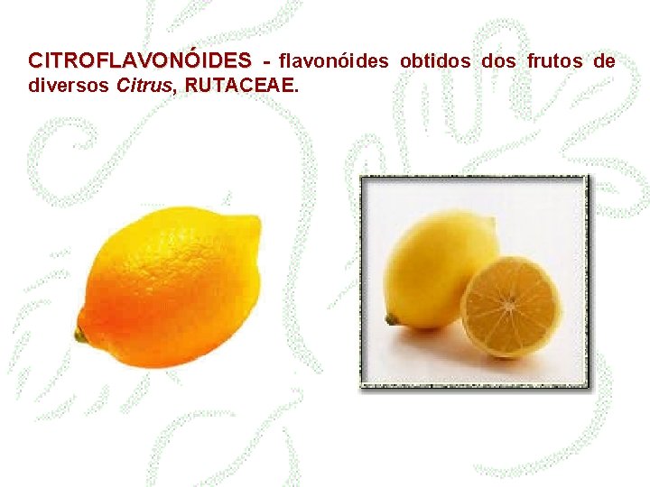 CITROFLAVONÓIDES - flavonóides obtidos frutos de diversos Citrus, RUTACEAE. 