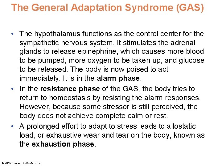 The General Adaptation Syndrome (GAS) • The hypothalamus functions as the control center for