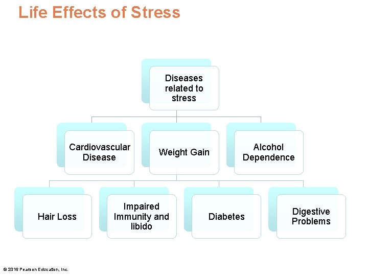 Life Effects of Stress Diseases related to stress Cardiovascular Disease Hair Loss © 2016