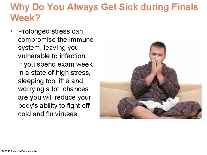 Why Do You Always Get Sick during Finals Week? • Prolonged stress can compromise