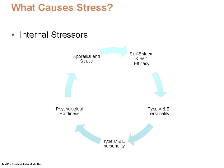 What Causes Stress? • Internal Stressors Self-Esteem & Self. Efficacy Appraisal and Stress Psychological