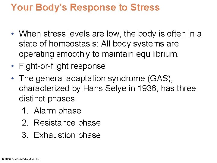 Your Body's Response to Stress • When stress levels are low, the body is