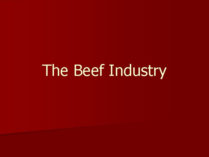 The Beef Industry 