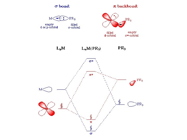 Chem 310 Inorganic Chemistry Part 3 Organometallic Chemistry