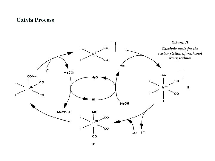 Catvia Process 