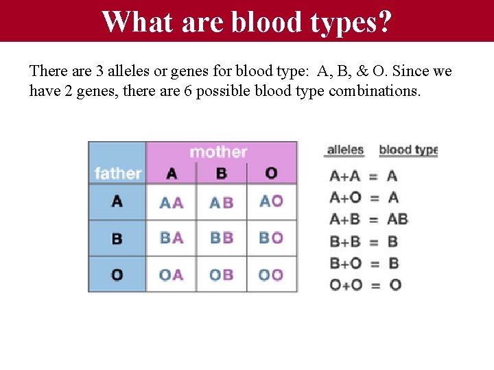 What are blood types? There are 3 alleles or genes for blood type: A,