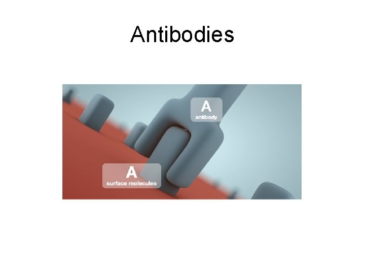 Antibodies 