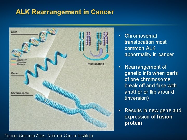 ALK Rearrangement in Cancer • Chromosomal translocation most common ALK abnormality in cancer •